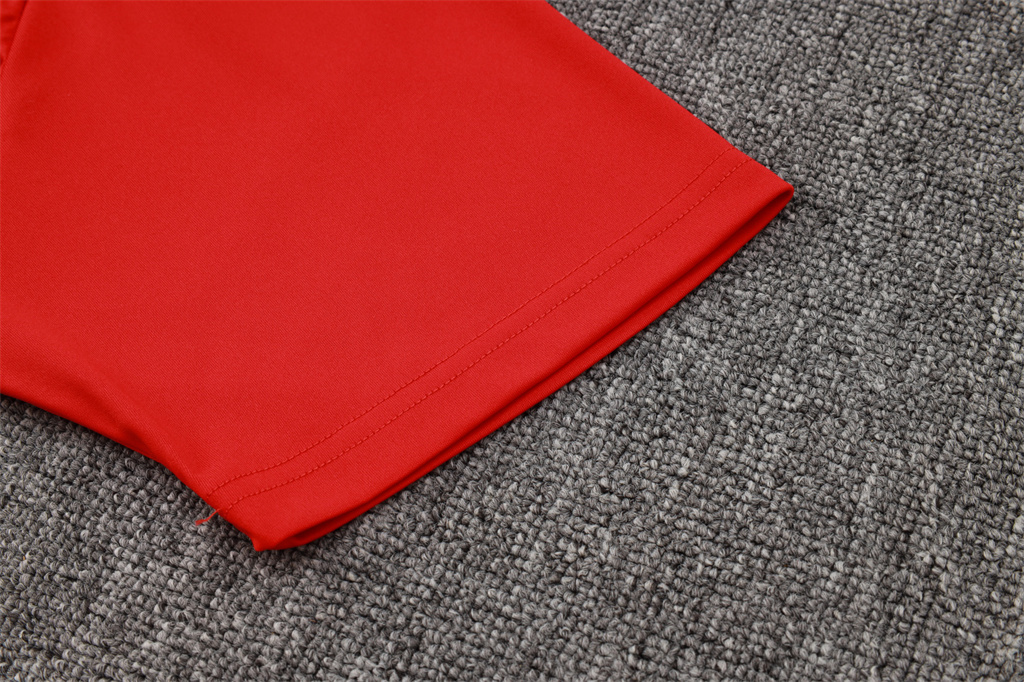 Bayern Munich POLO Jersey 24/25