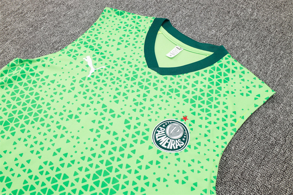 Palmeiras Training Jersey 23/24