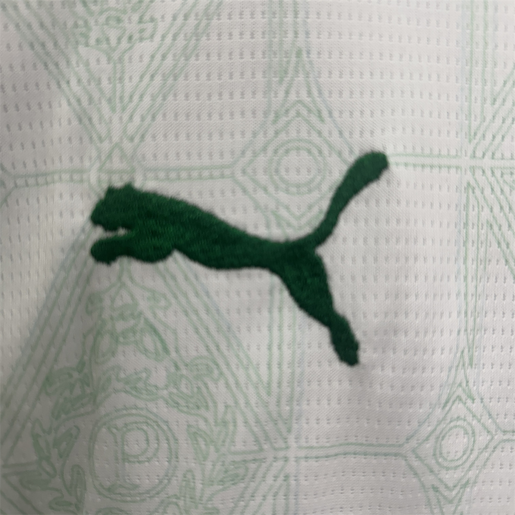 Palmeiras Away Kids Suit 25/26