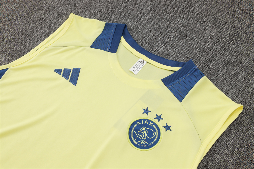 Ajax Training Jersey 24/25