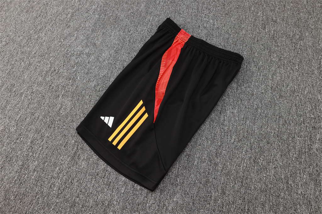 Bayern Munich Training Jersey 24/25