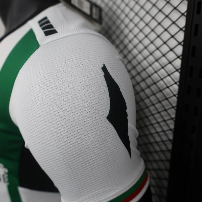 2024/2025 Player Version Club Deportivo Palestino Home Football Shirt