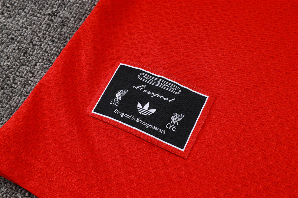 Liverpool POLO Jersey 25/26