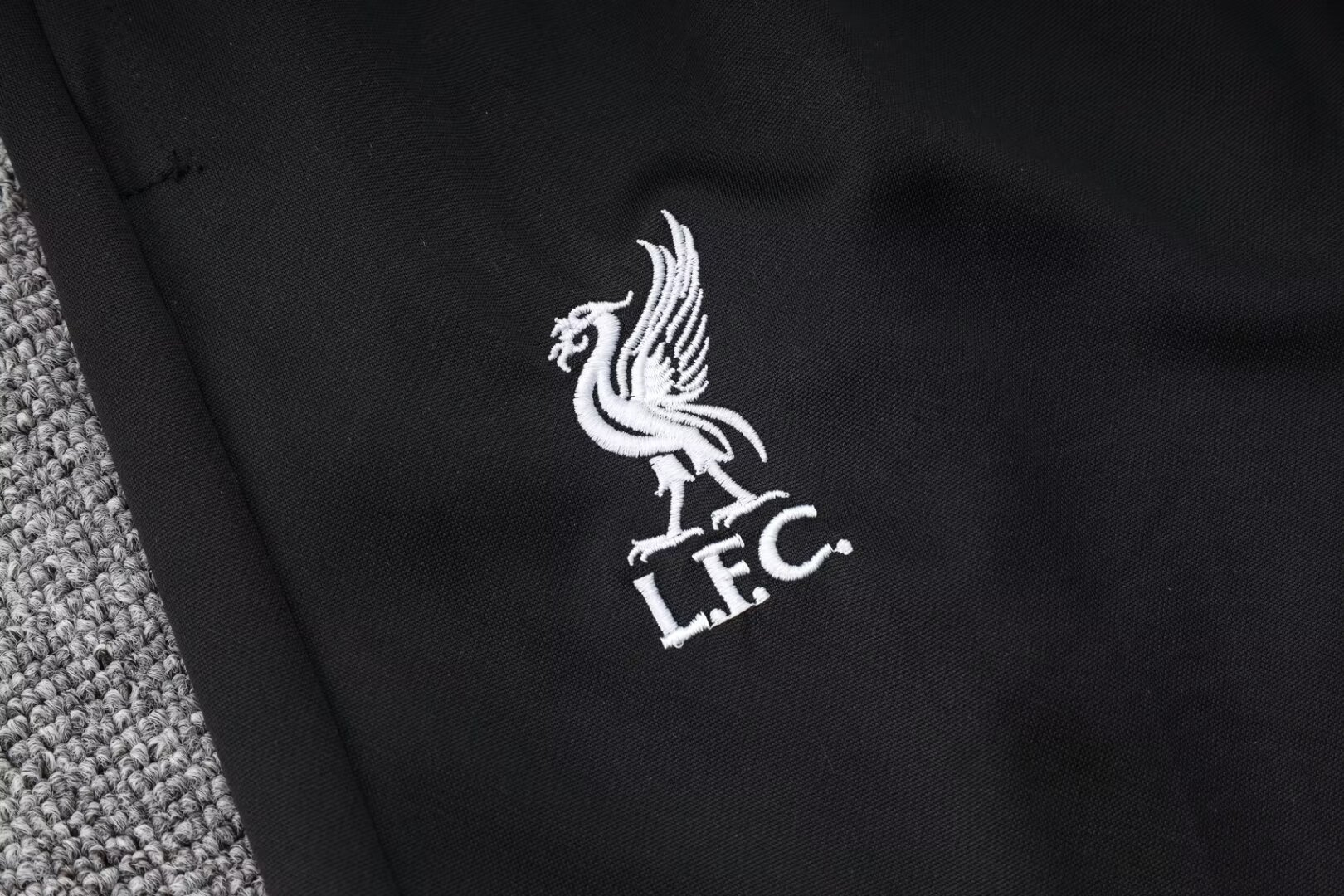 Liverpool Training Jersey Suit 24/25