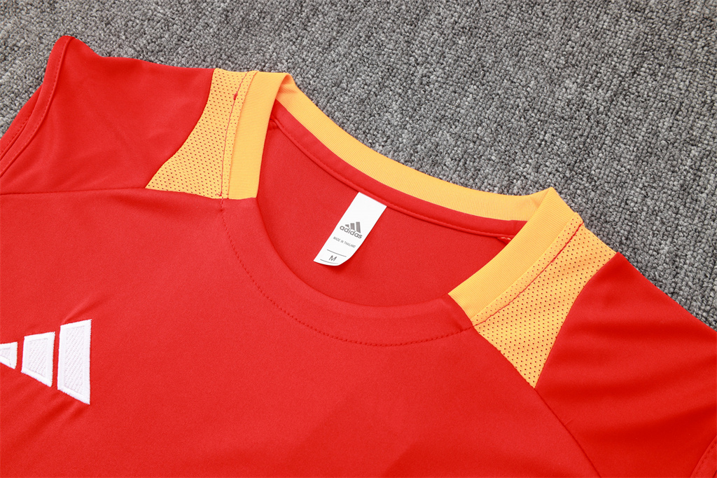 Bayern Munich Training Jersey 24/25