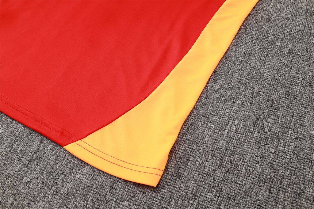 Bayern Munich Training Jersey 24/25