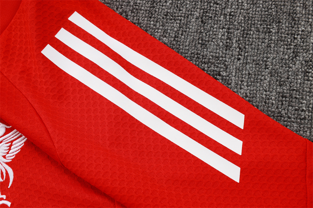 Liverpool Training Short sleeve Jersey 24/25