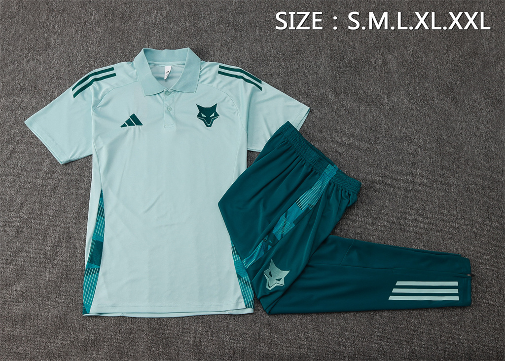 Cruzeiro  POLO Jersey 24/25