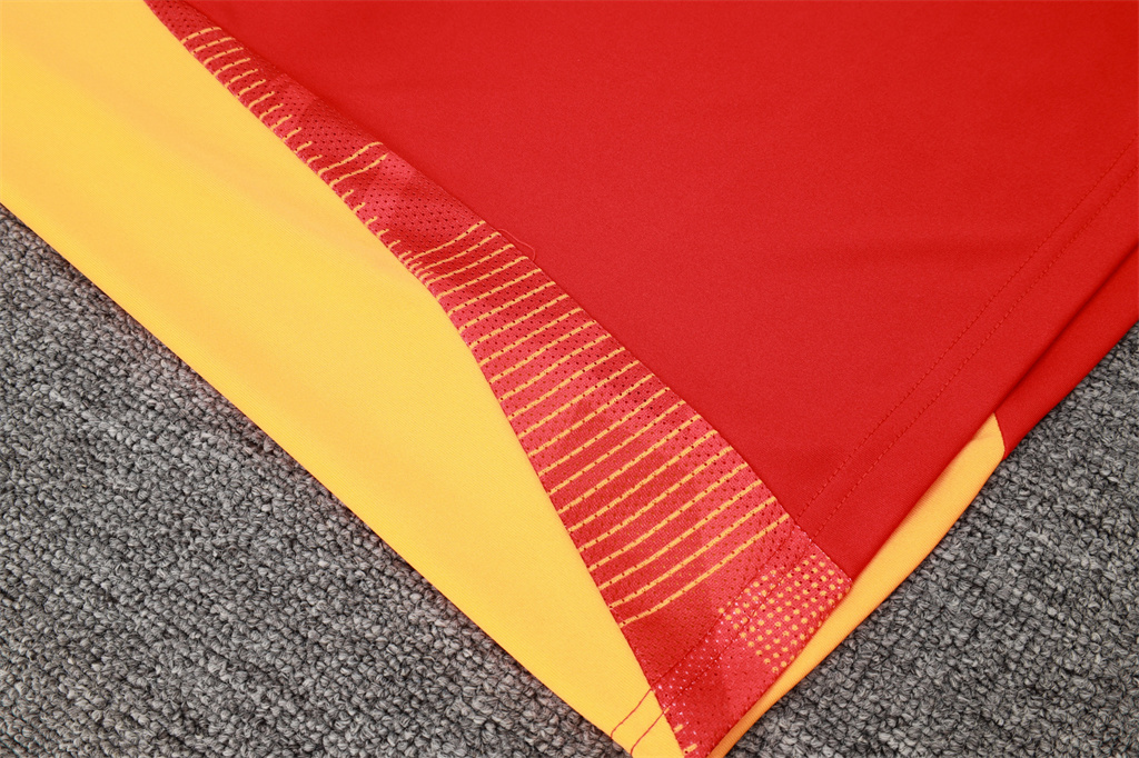 Bayern Munich POLO Jersey 24/25