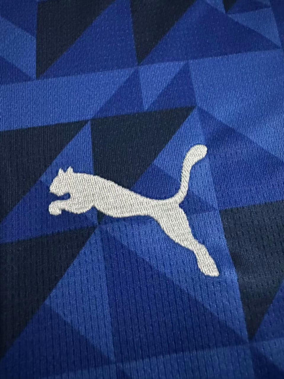 Al-Hilal Home Man Jersey 24/25