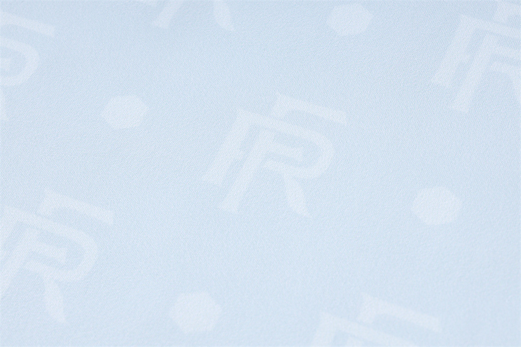 France Training Short Sleeve Jersey 24/25