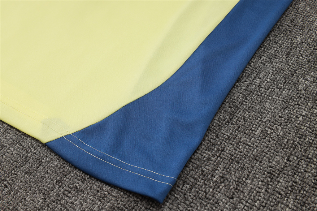 Ajax Training Jersey 24/25