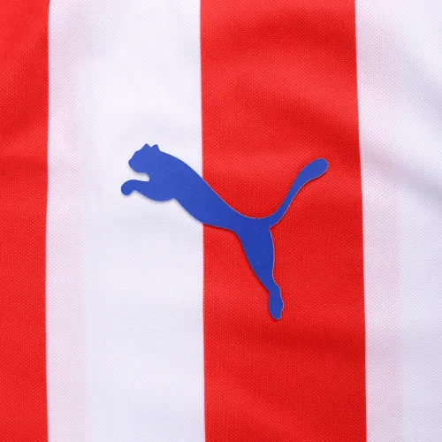 Chivas Guadalajara Retro Jersey Home