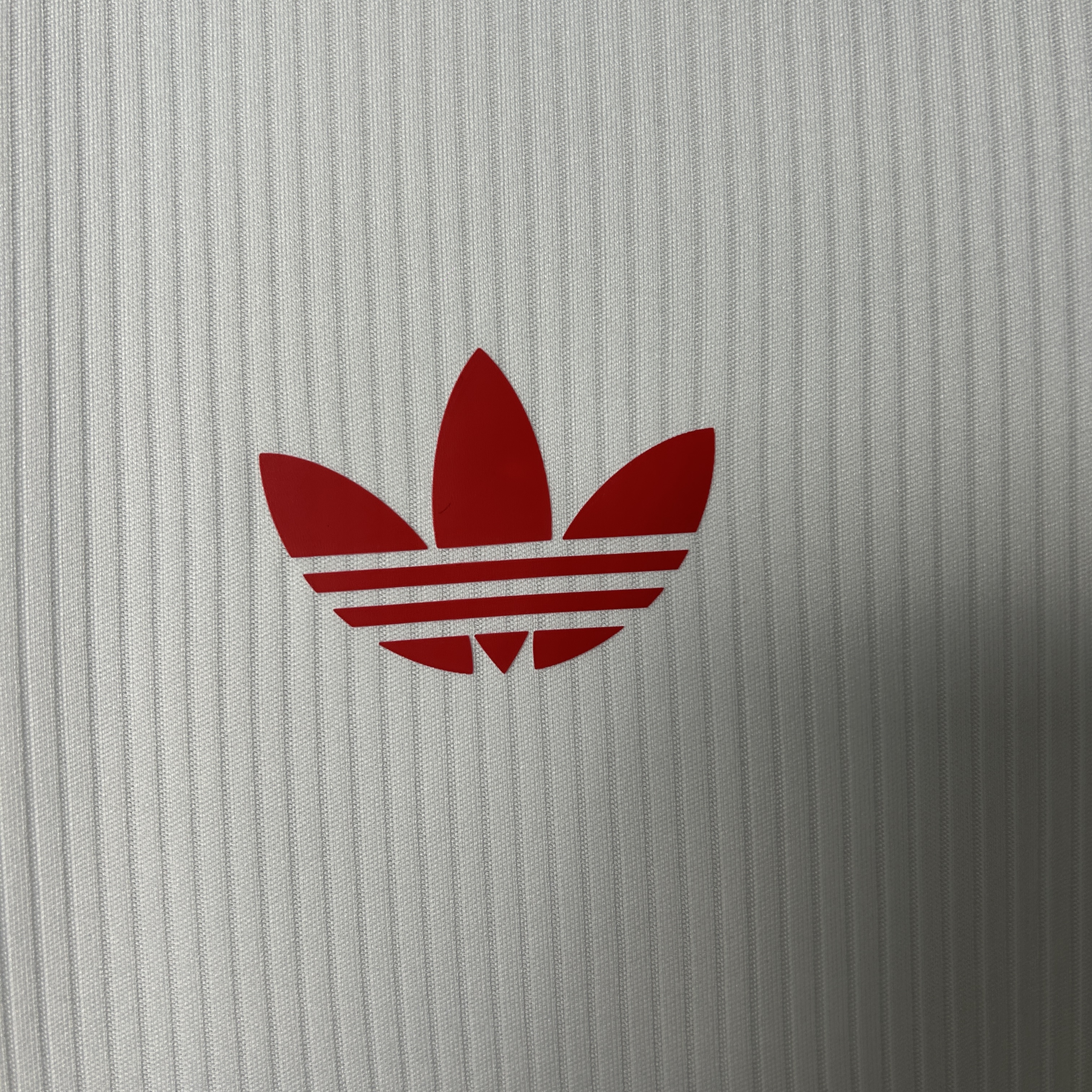 SL Benfica Commemorative Edition Man Jersey 25/26