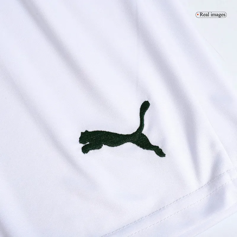 SE Palmeiras 2023/24 Home Shorts Replica