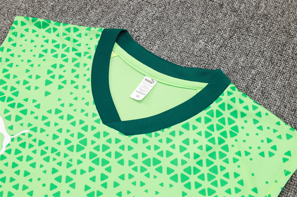 Palmeiras Training Jersey 23/24