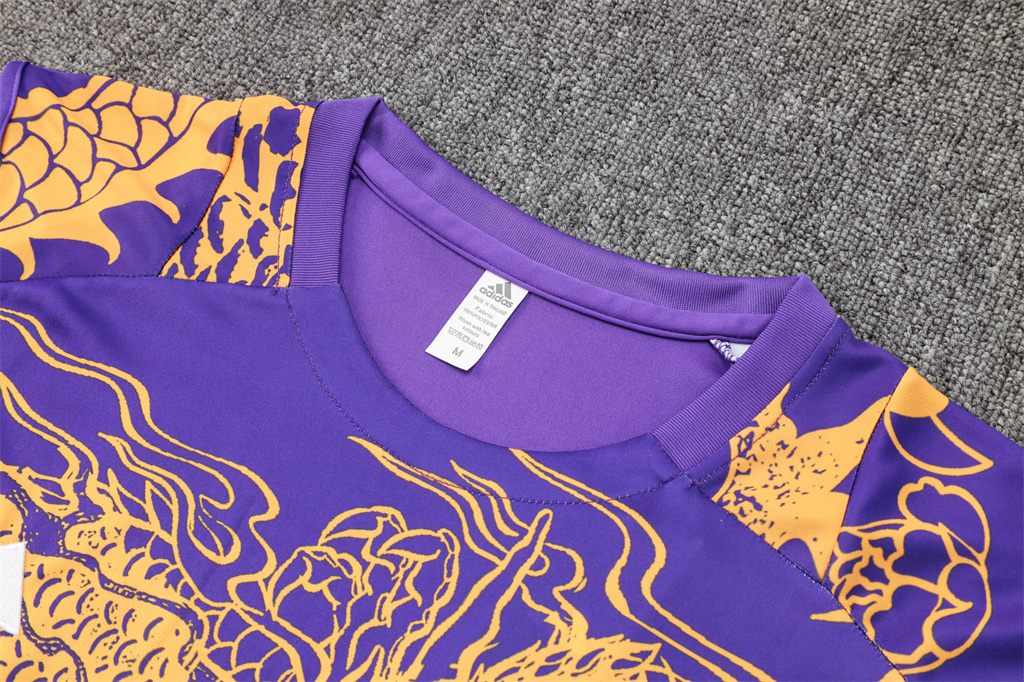 Real Madrid Training Jersey 24/25