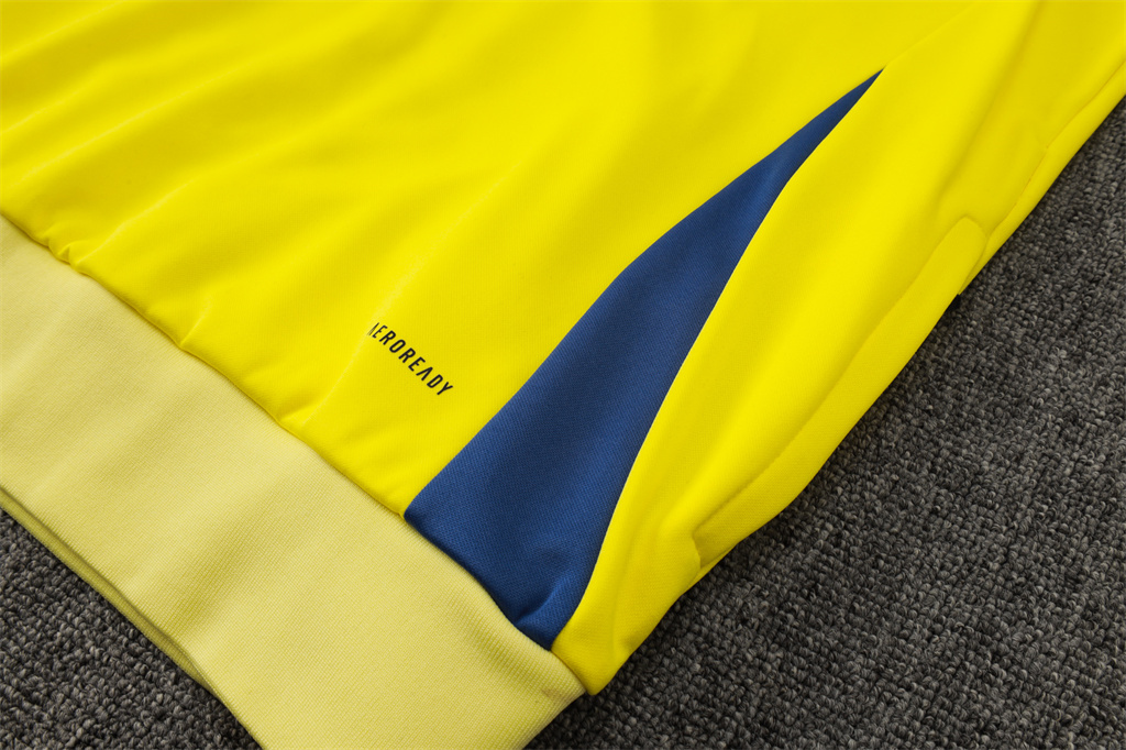 Ajax Training Suit 24/25