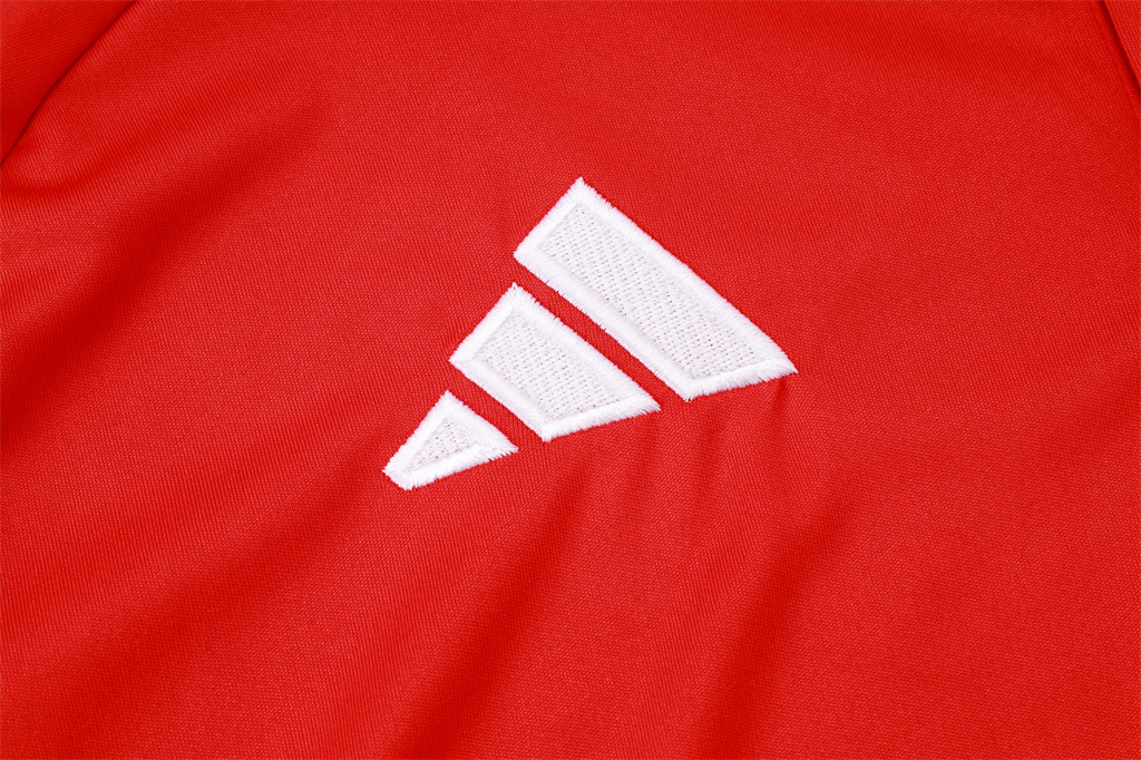 Bayern Munich POLO Jersey 24/25