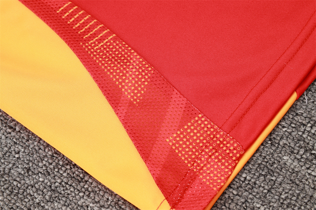 Bayern Munich Training Jersey Suit 24/25