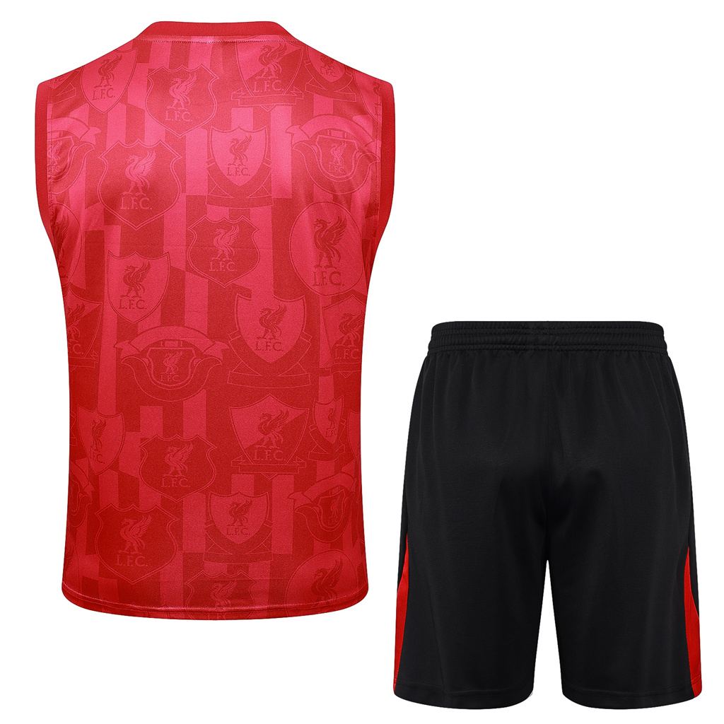 Liverpool Training Jersey 24/25
