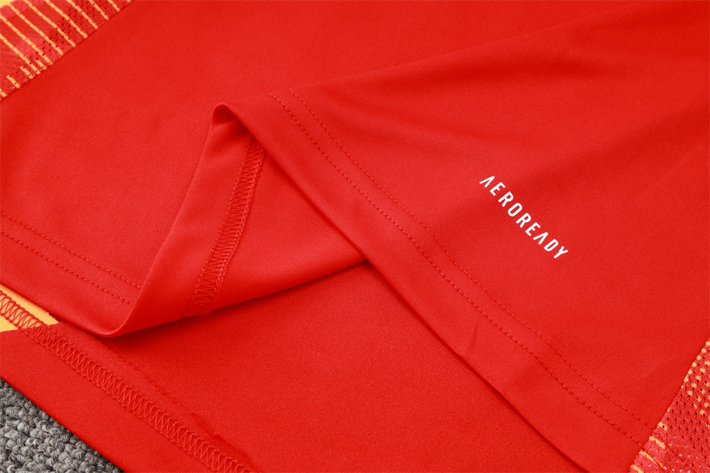 Bayern Munich Training Short sleeve Jersey 24/25