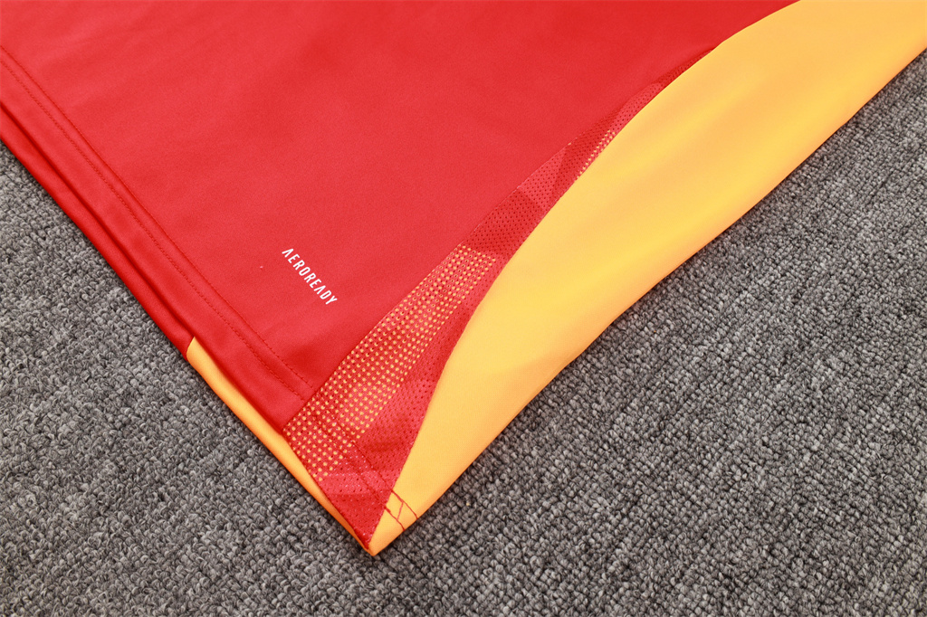 Bayern Munich Training Jersey Suit 24/25