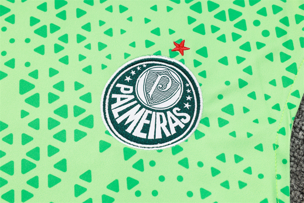 Palmeiras Training Jersey 23/24