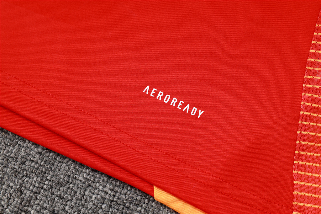 Bayern Munich Training Jersey 24/25