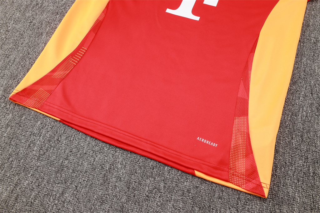 Bayern Munich Training Jersey Suit 24/25