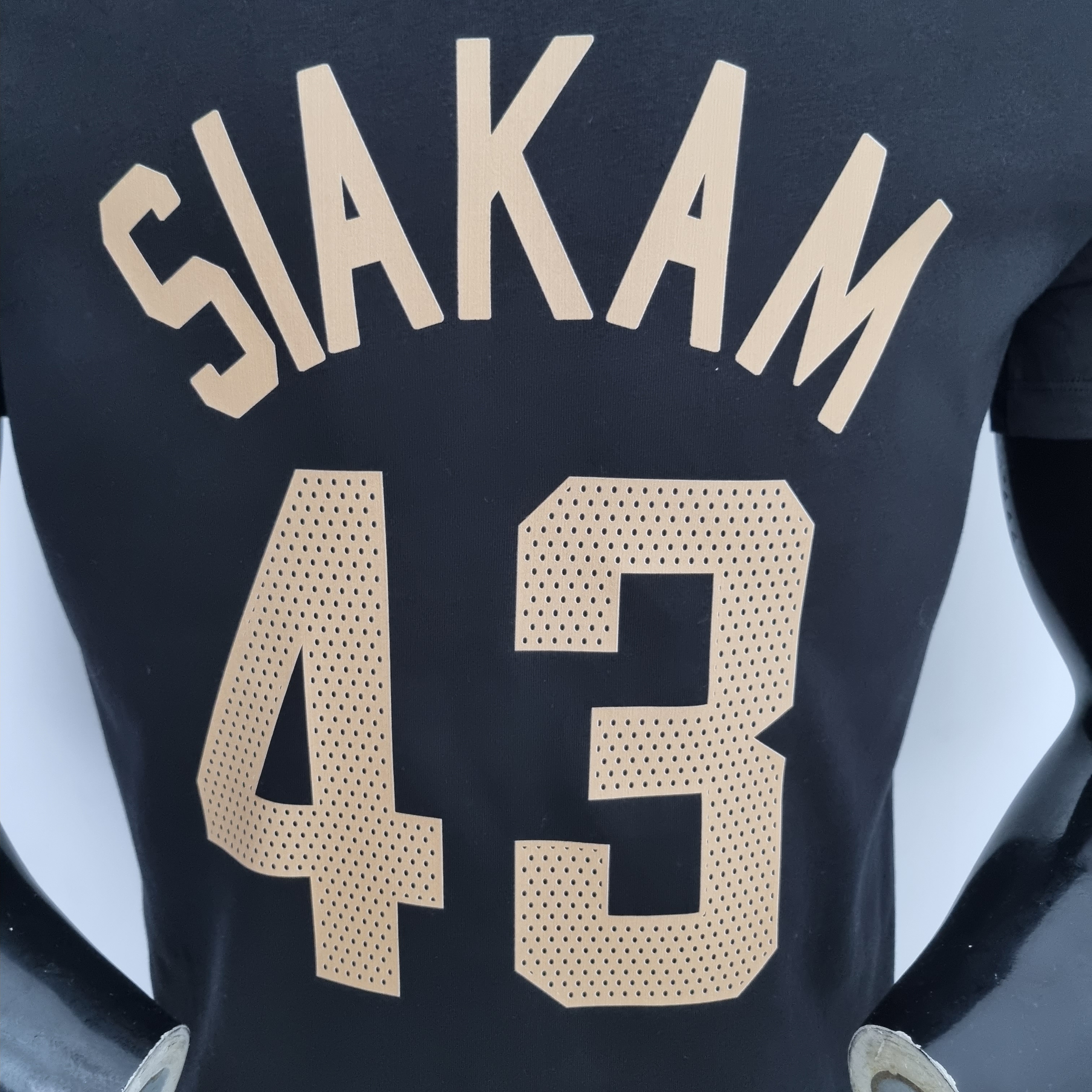 Pascal Siakam Toronto Raptors Casual T-shirt