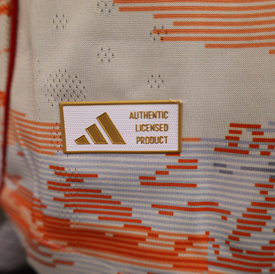 Bayern Munich away Player  Edition Football Jersey 25-26