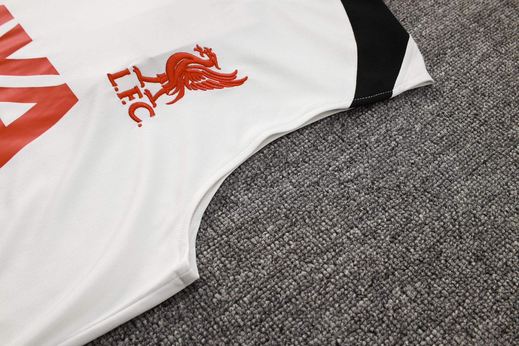 Liverpool Training Jersey 24/25