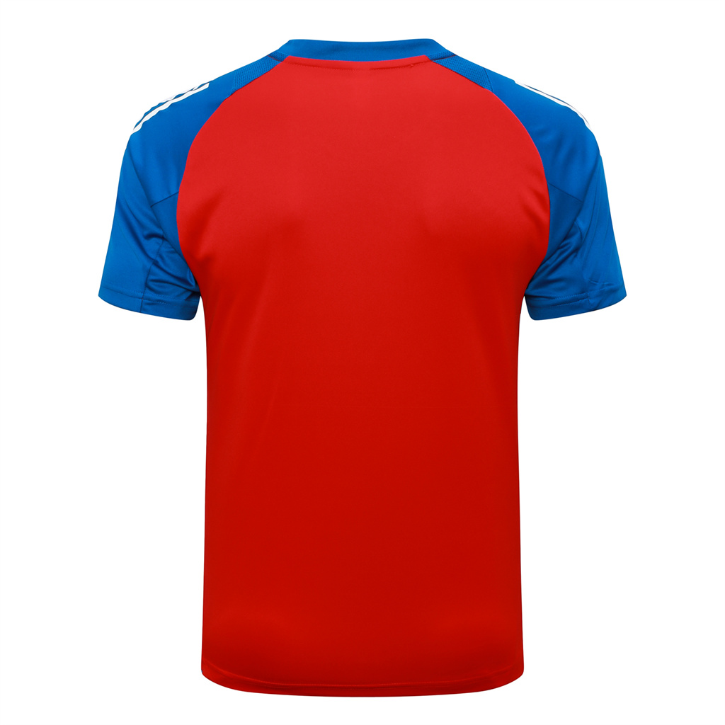 Spain Training Short sleeve Suit 24/25