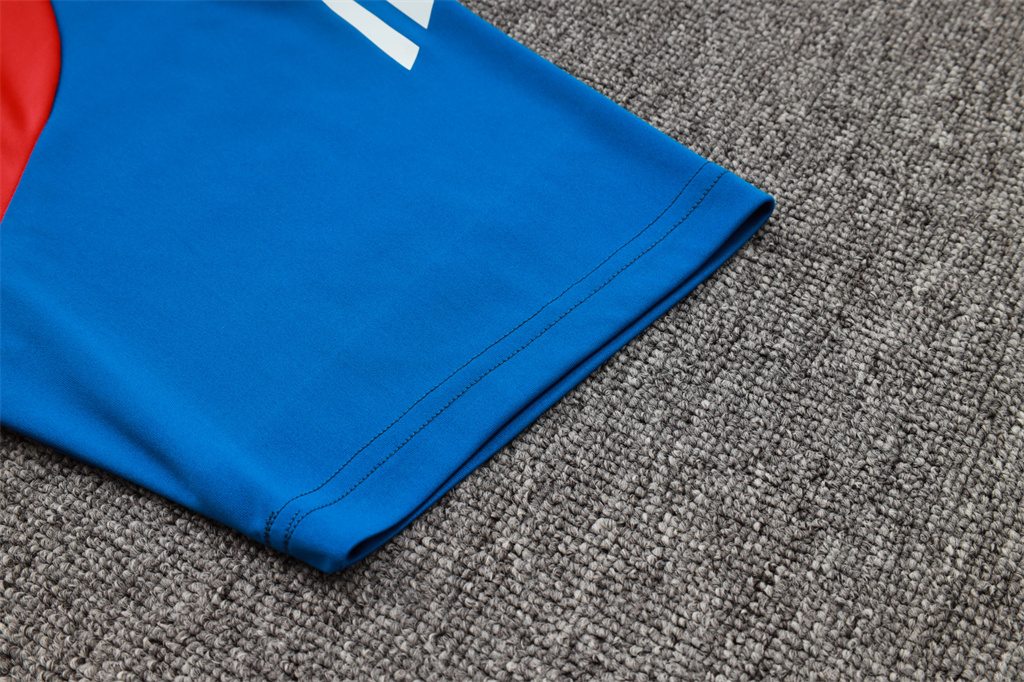 Spain POLO Jersey 24/25