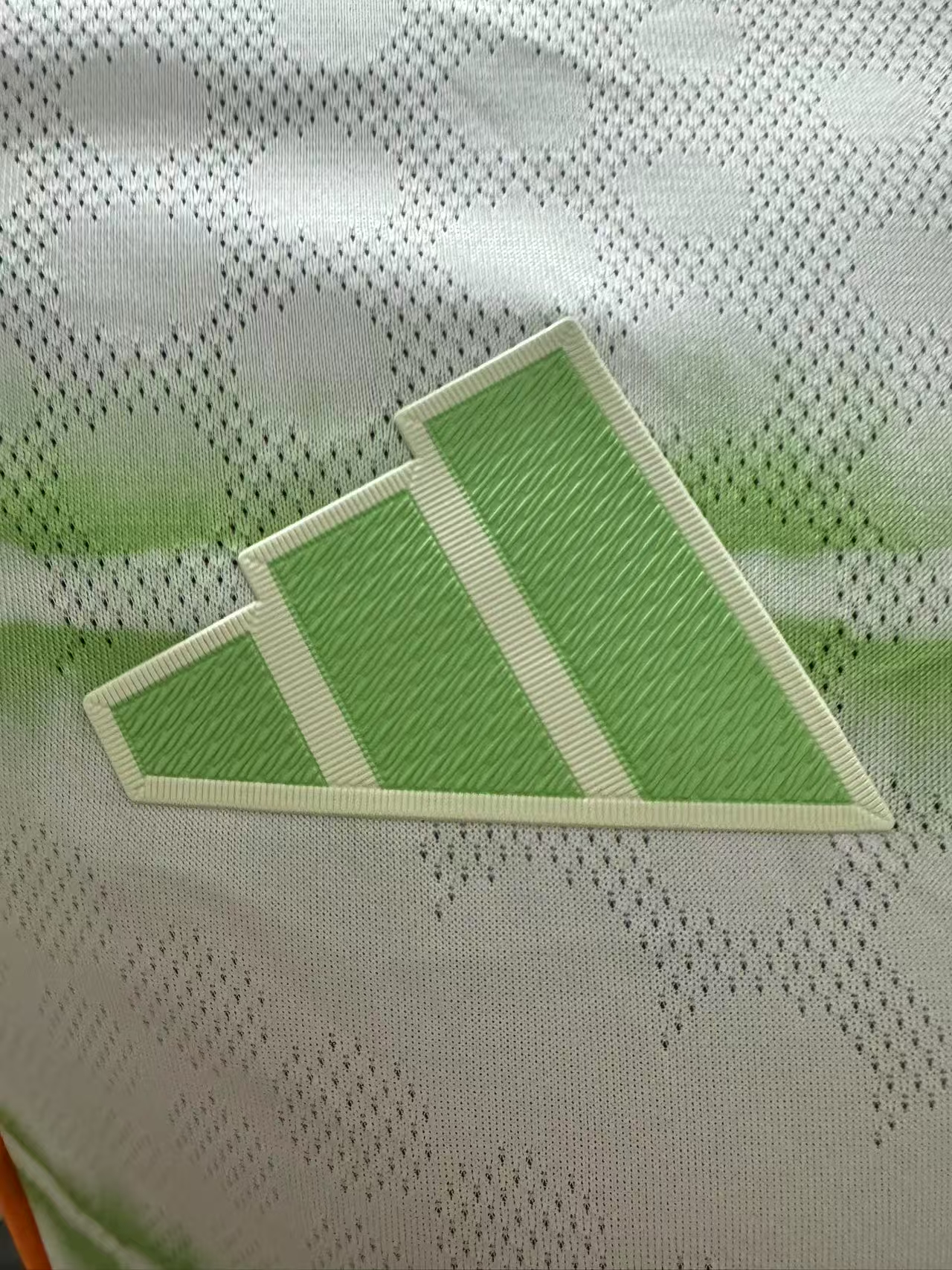 Celtic Third Player Jersey 25/26