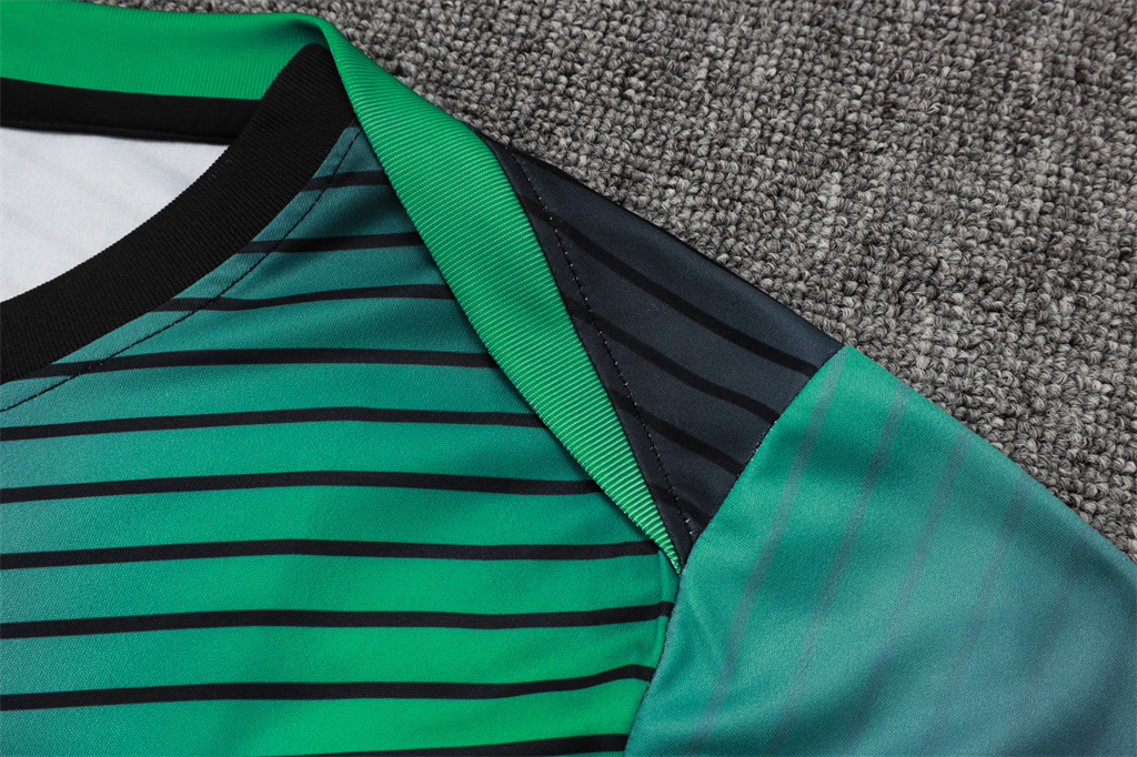 Nigeria Training Short sleeve Jersey 24/25