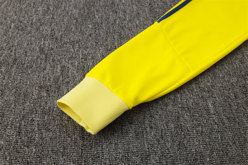 Ajax Training Suit 24/25