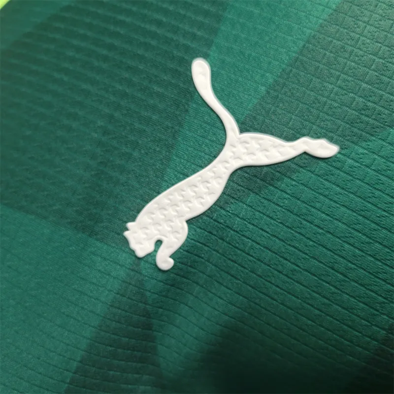 SE Palmeiras 2023/24 Home Jersey Player Version