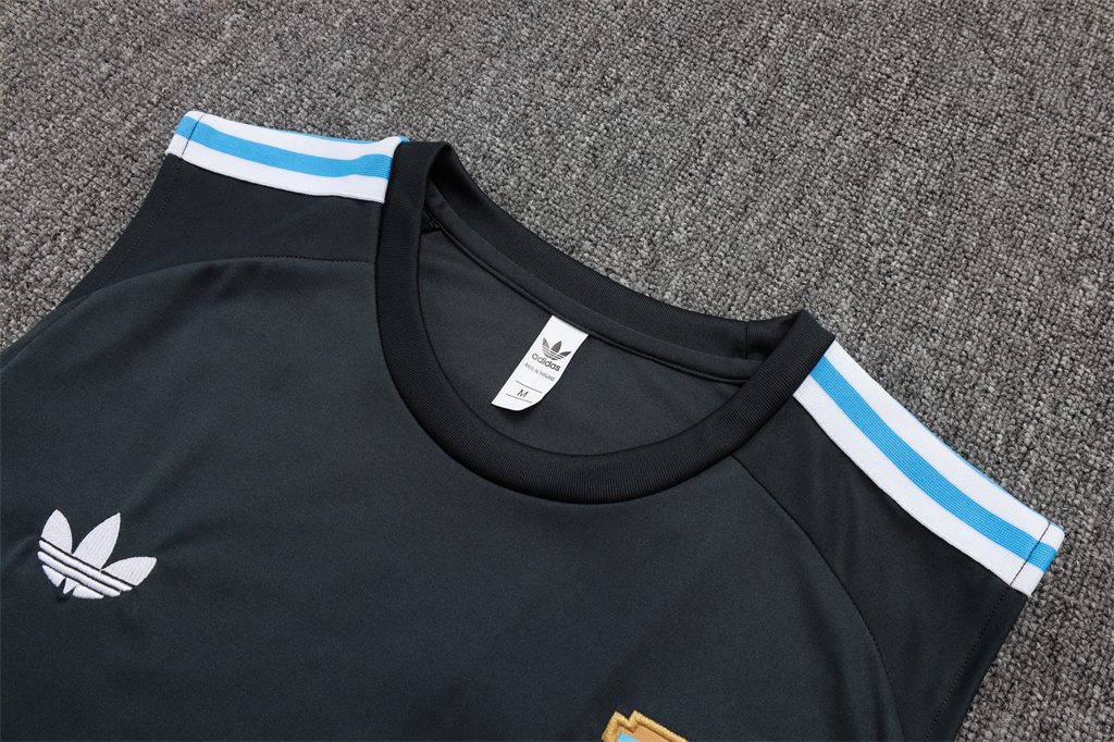 Argentina Training Jersey 24/25