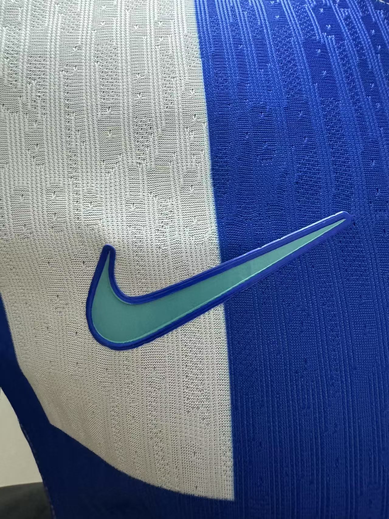 Brighton & Hove Albion Home Player Jersey 25/26