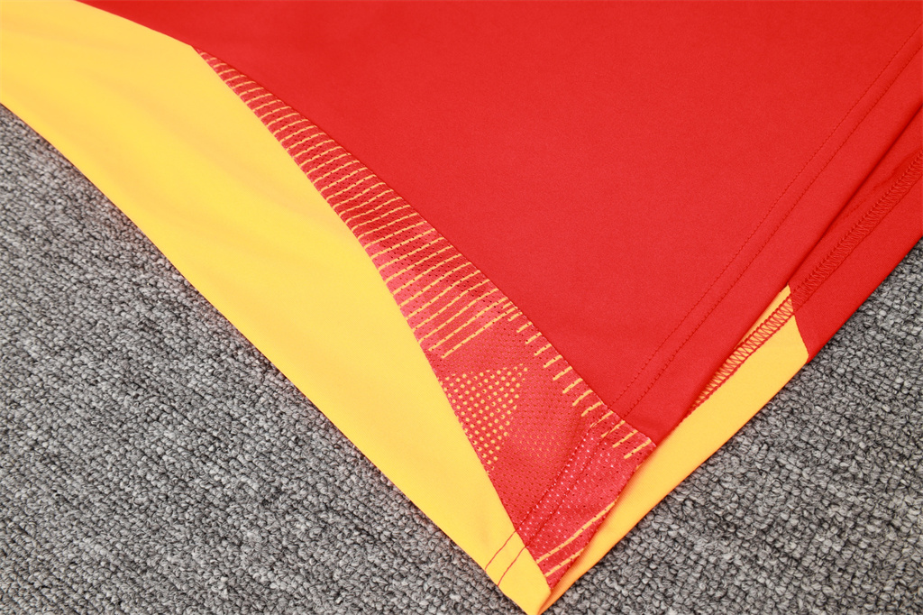 Bayern Munich Training Short sleeve Jersey 24/25