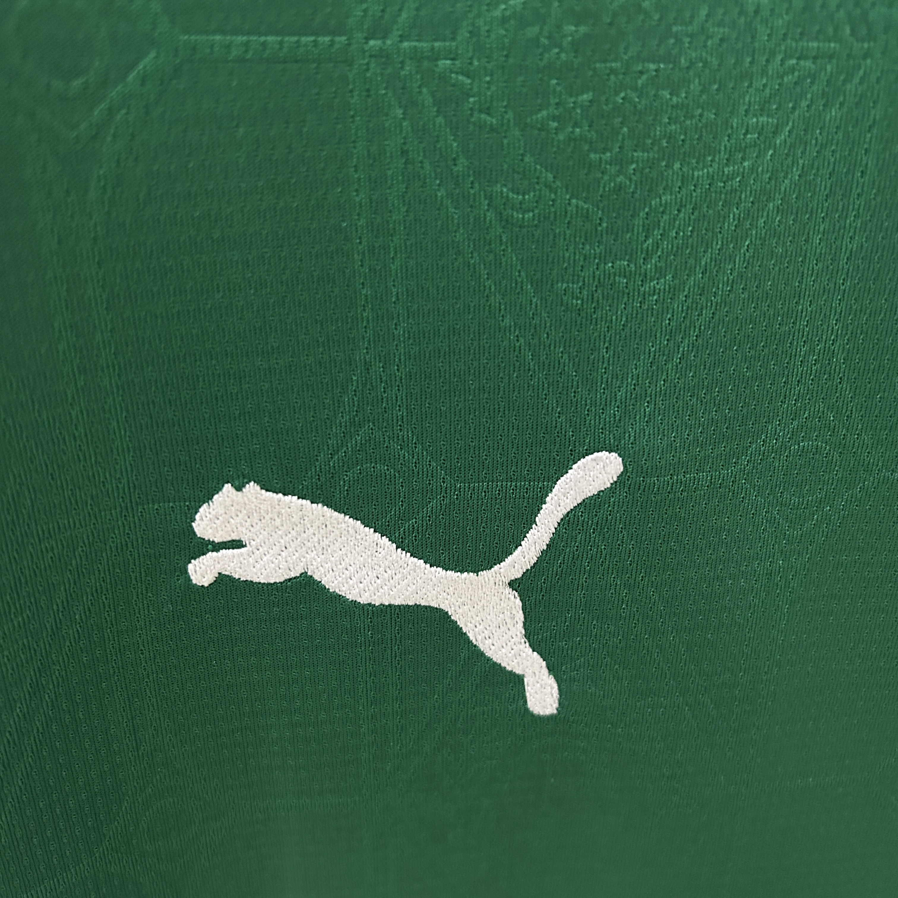 Palmeiras Home Man Jersey 25/26