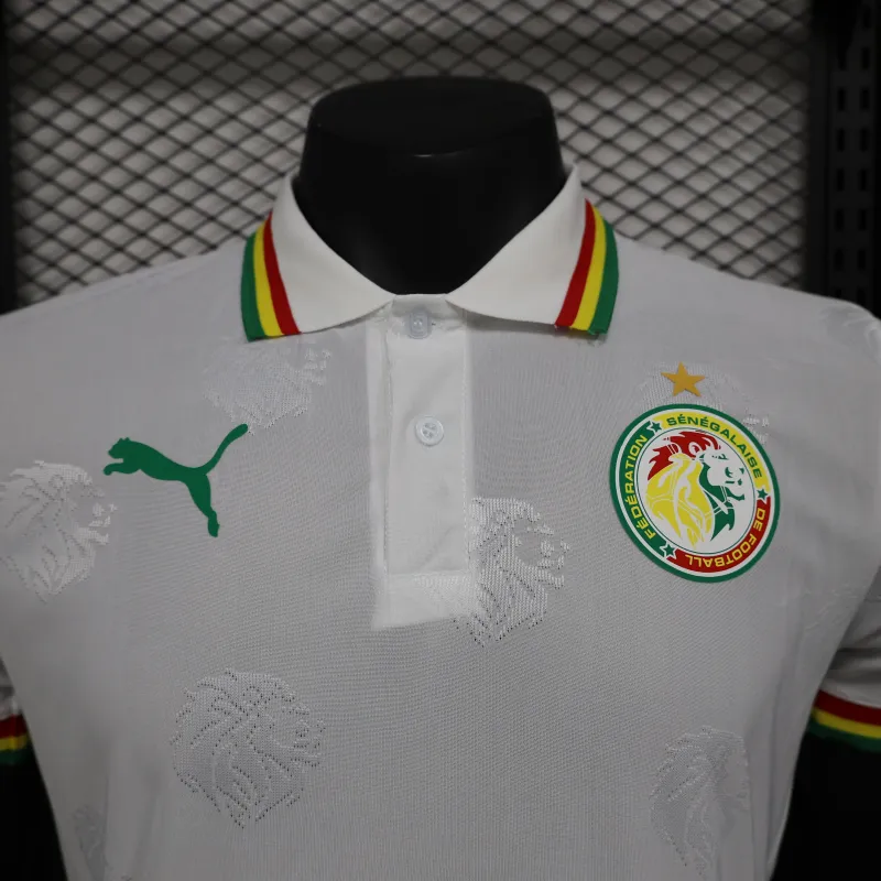 2024/2025 Senegal Special Edition Senegal Football Jersey for Players