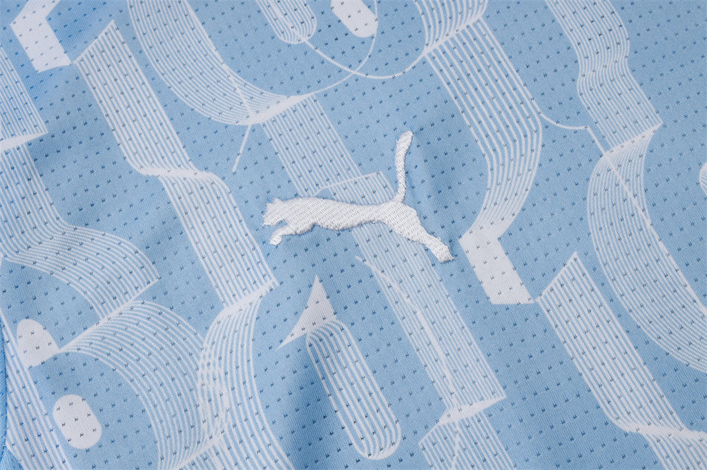 Manchester City Training Short sleeve Jersey 24/25