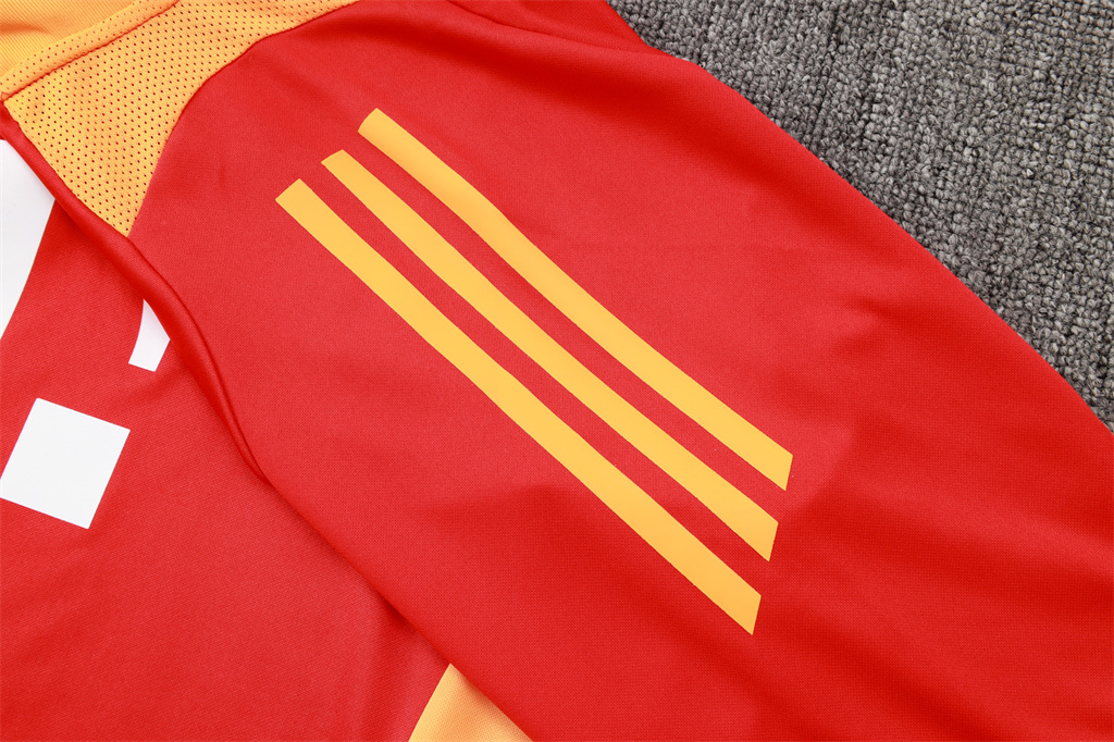 Bayern Munich Training Jersey Suit 24/25