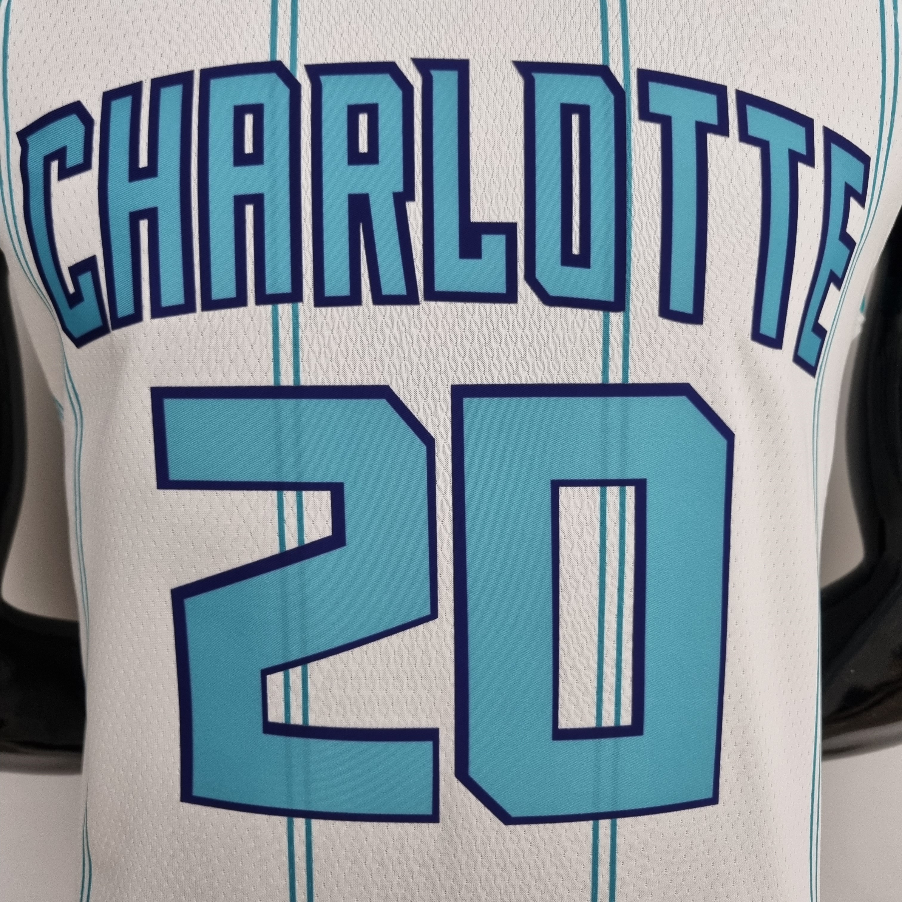 Gordon Hayward Charlotte Hornets 75th Anniversary Swingman Jersey White