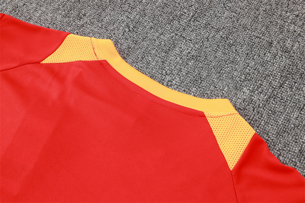 Bayern Munich Training Jersey 24/25