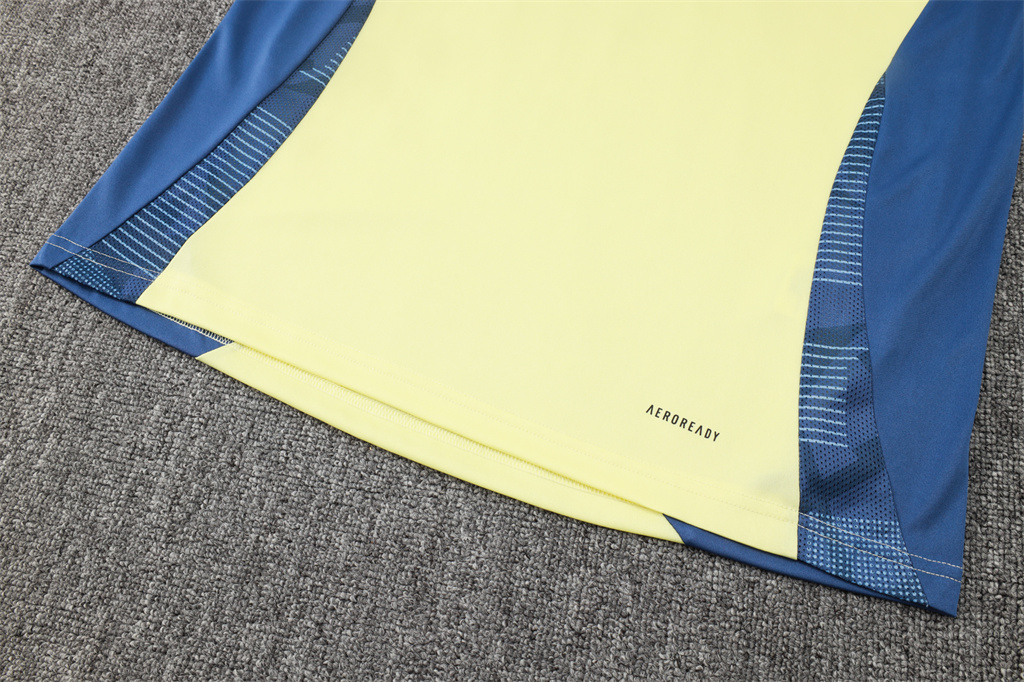 Ajax Training Short sleeve Suit 24/25