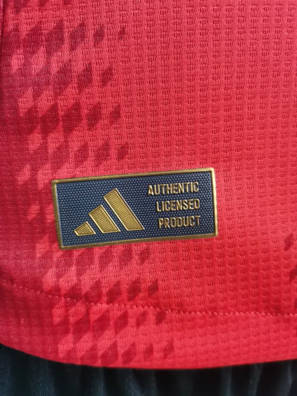 24-25 Bayern Munich Home Player Version Soccer Jersey